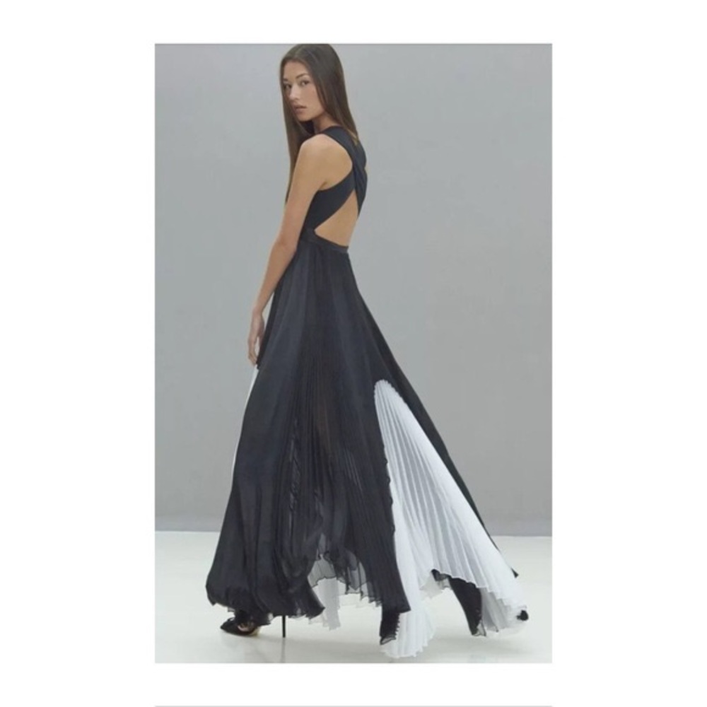Alexis Colorblock Pleated Gown